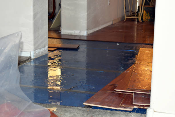 Professional Water Removal technician working in Houstonia, MO